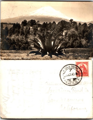 Mount Popocatepetl Agave Pflanzen Mexiko 1940er Echt Foto Postkarte gestempelt