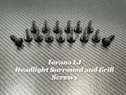 <!--F#f_0-->TORANA LJ HEADLIGHT SURROUNDS AND GRILL SCREWS GRILLE<!--F/-->