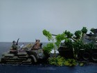 Picture 4 of 15