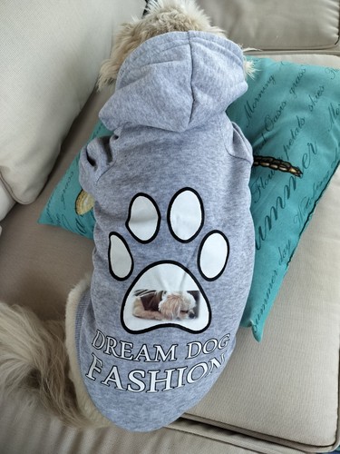 Dream Dog Soft Sweatshirt Clothes for Small Pet Cat Dog XS-2XL Free Water Bowl - Picture 4 of 12