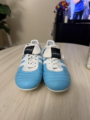 adidas Copa Mundial FG Argentina Edition | eBay