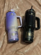 Stanley Wicked for Good  X Target Glinda and Elphaba 40oz flow state Tumblers 