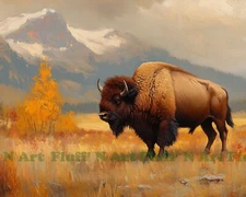 Lone Buffalo in Valley Native AI Digital Image Print 8x10 Museum Paper Ink T40
