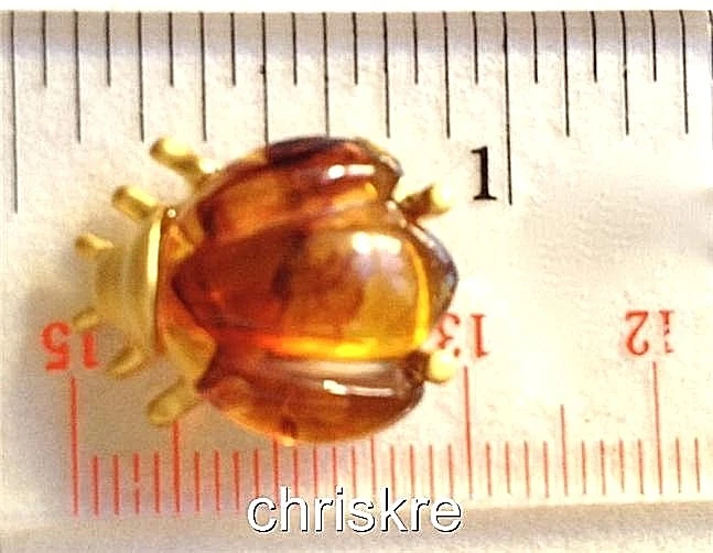 Broche broche solapa escarabajo ámbar miel corbata tac insecto chapado en oro simulado Foto 3 de 4