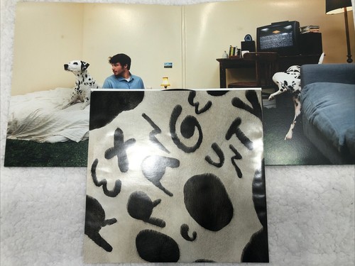 Rex Orange County- Who Cares?- 180g Vinyl Record- With Poster- Indie- 2021 - Foto 3 di 6