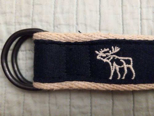 Vintage Youth Size 12 Abercrombie & Fitch A&F Blue Canvas Moose Logo Belt - Picture 3 of 9