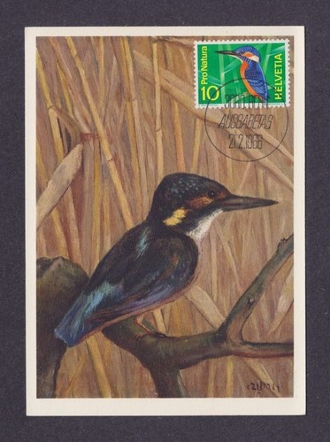 Switzerland 1966 FDC maximum card - birds - Kingfisher - Picture 1 of 2