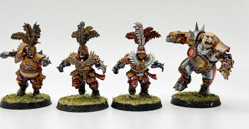Painted Imperial Nobility Blood Bowl Team The Bogenhafe Old World WFB Blood Bowl - Picture 14 of 14