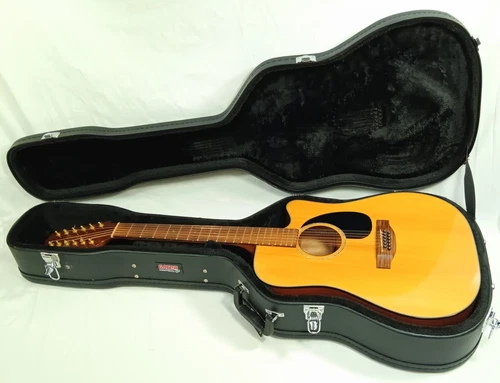 Takamine EG345C G series 12 String Acoustic Guitar W/ Gator Hard Case (39225-1)