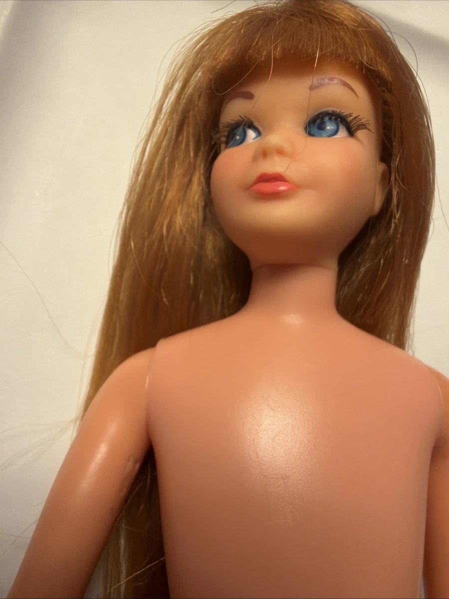 titian tnt barbie products for sale | eBay