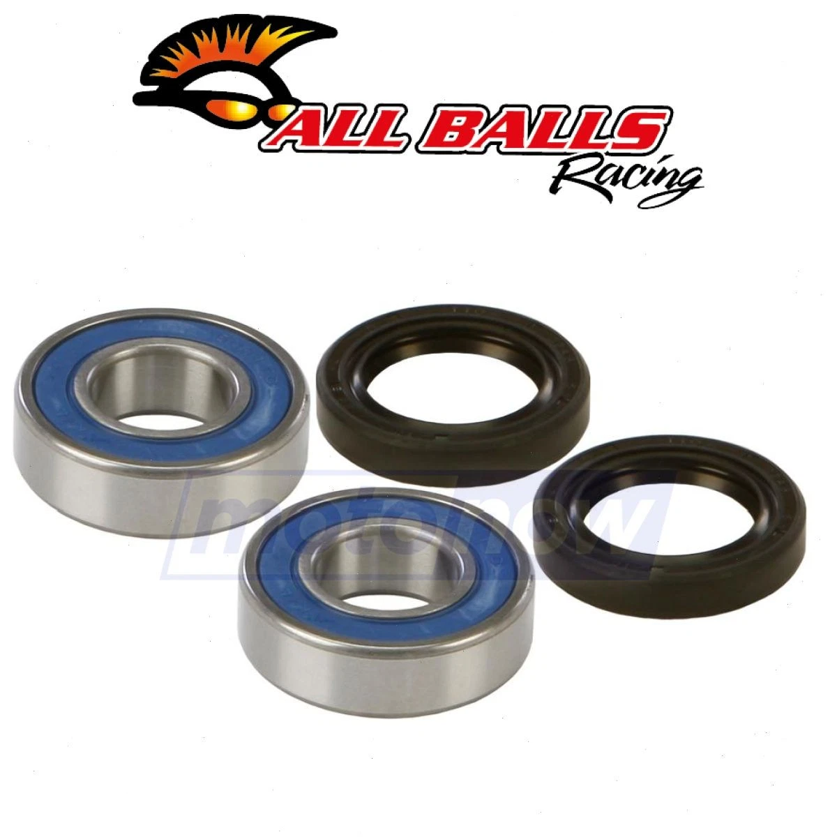 NTN Honda CBR1100 XX Super Blackbird Front Wheel Bearing Seals 99 03