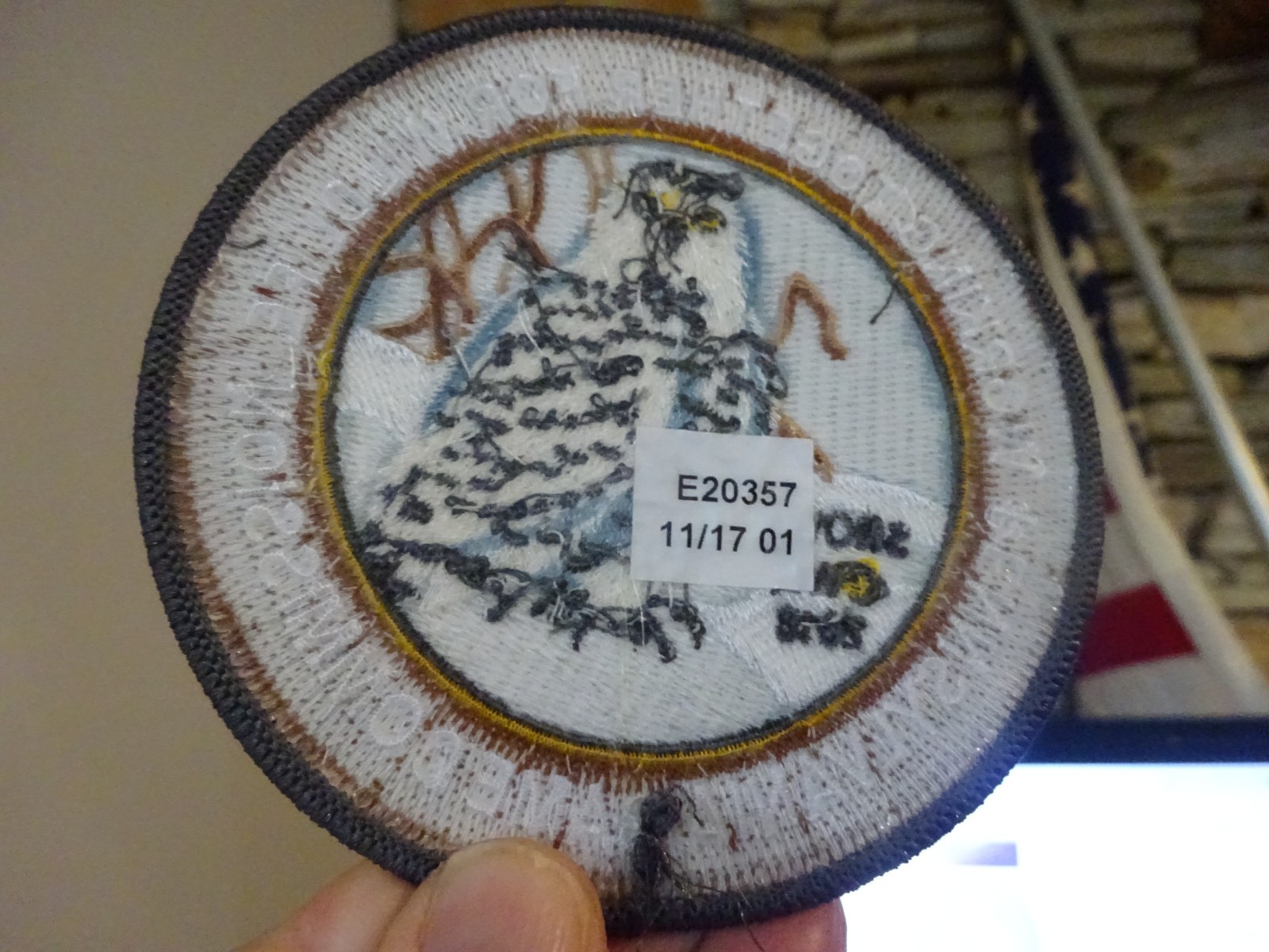 Picture 6 of 6