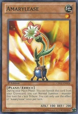 Amarylease - CBLZ-EN004 - Common - 1st Edition - Moderately Played