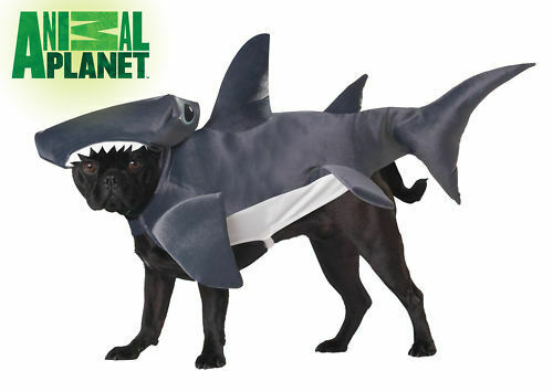 diy shark costume for dogs