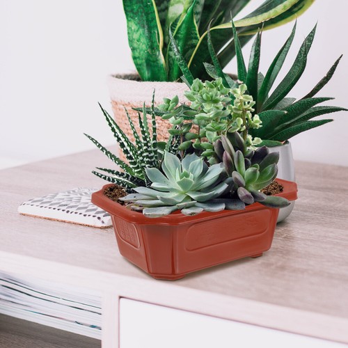 10 Pcs Rectangular Bonsai Flower Pots Plastic Vintage Style for Office Plants - Picture 7 of 12