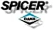 DANA SPICER Differential Ring and Pinion Dana