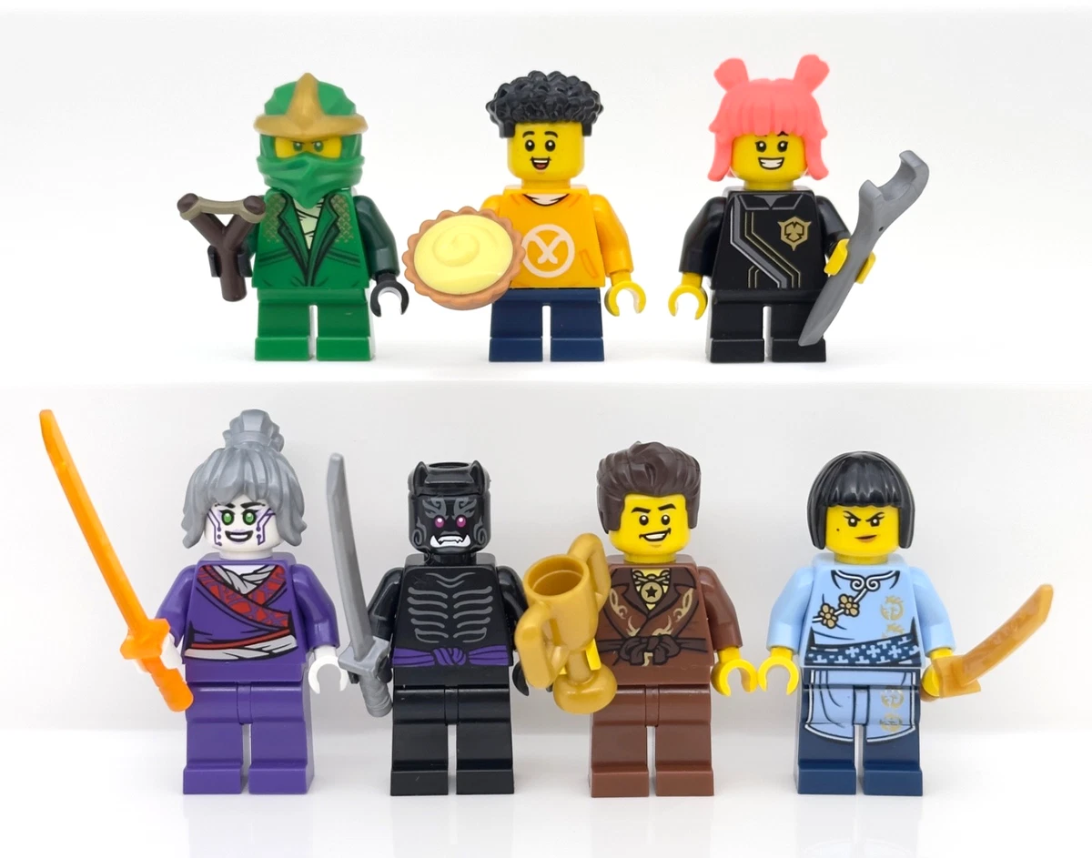 Lego Ninjago 15th Anniversary BAM Lloyd Sora Arin Dareth Pixel Nya