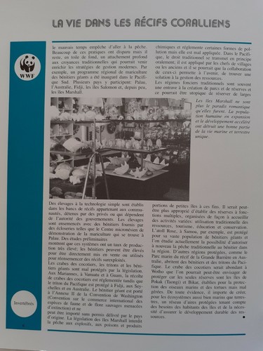 WWF Lot de feuilles 4 FDC + série VIE DANS RECIFS CORALLIENS Marshall Islands 86 - Photo 6/8