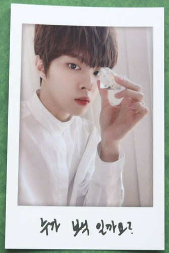 KIM WOOSEOK 1st Ontact Fan Meeting N423 Polaroid Photocards Official Woo Seok - Picture 9 of 12