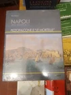 Italo Ferraro Napoli. Atlante della città storica. Pizzofalcone e «le Mortelle»