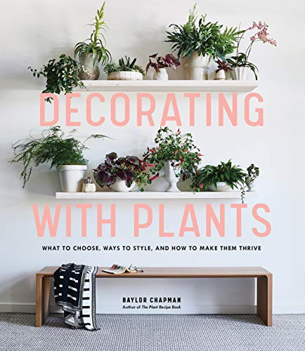 Decorating with Plants: What to Choose, Ways to Style, and... - Chapman, Baylor