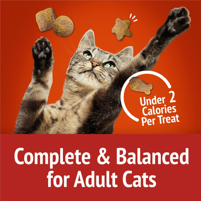 Special Kitty Salmon Cat Treat 3 oz