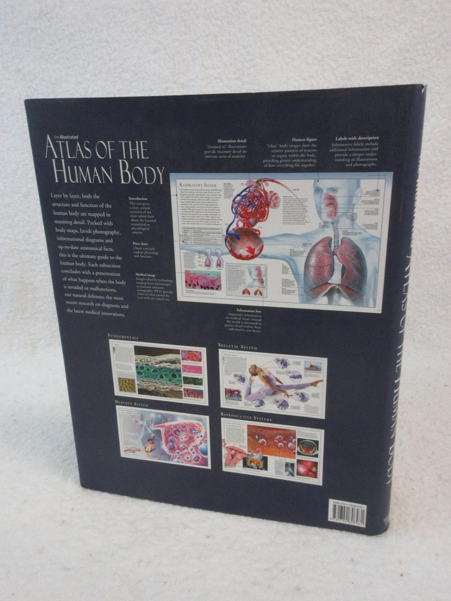 Beverly McMillan THE ILLUSTRATED ATLAS OF THE HUMAN BODY