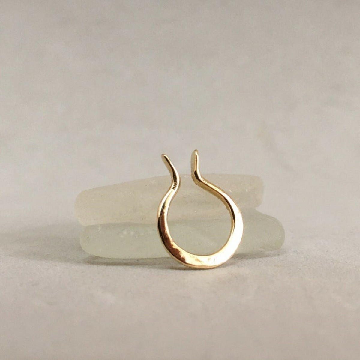 Fake clearance septum horseshoe