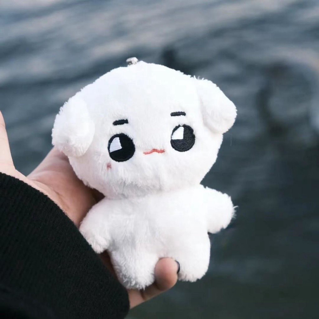 Muñeca de peluche Kpop Idol NCT Tyongya cachorro blanco de peluche