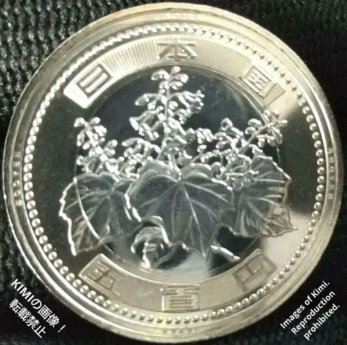 Moneda de 500 yenes 2025 Reiwa 7 Japón 500 yenes japoneses Denominación con bambú y ta - Imagen 13 de 24