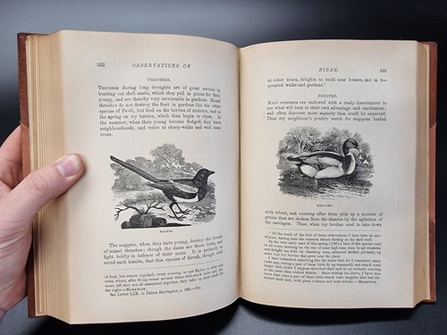 1887 NATURAL HISTORY OF SELBORNE Gilbert White THOMAS BEWICK FINE BINDING Scarce - Picture 10 of 12