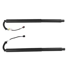 Rear L+R Power Lift Cylinder Struts For Murano S SL SV 15-21 905615AA1A