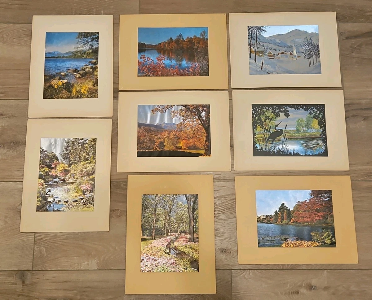 Dufex Prints for sale | eBay