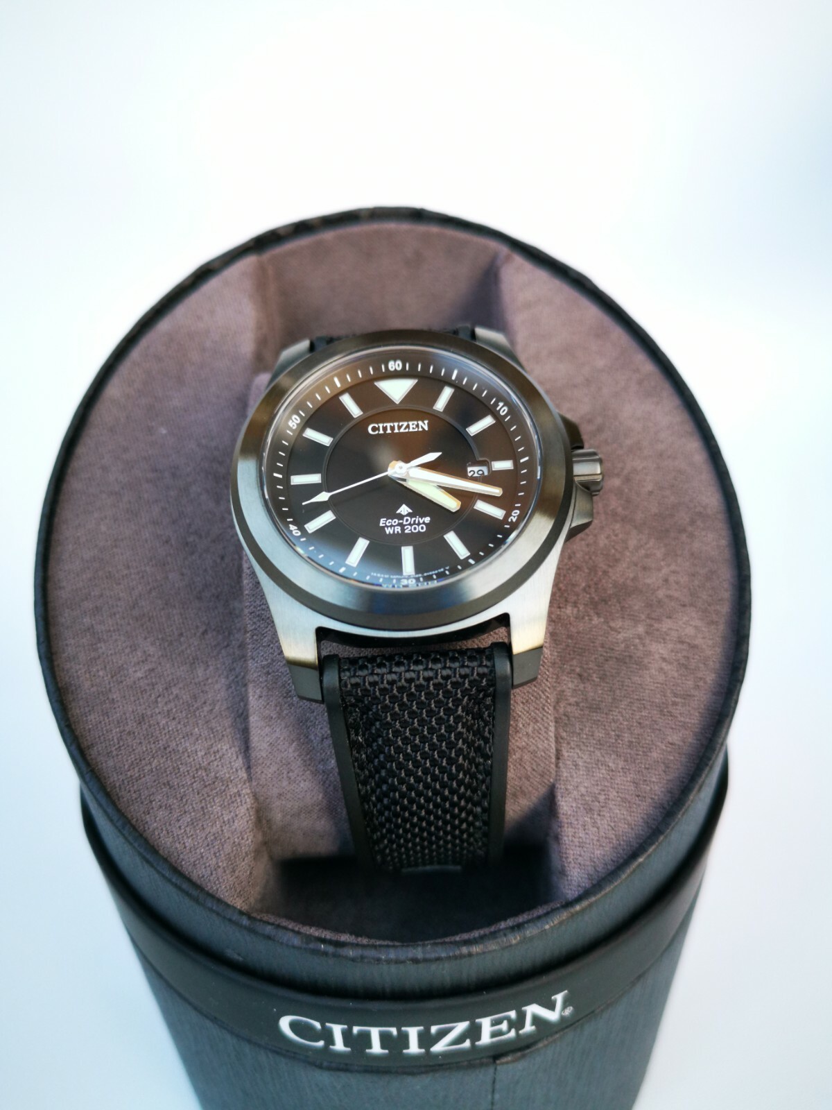 citizen promaster diver sapphire