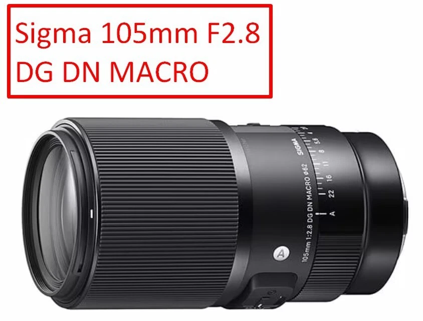 Sigma 105mm F2.8 DG DN MACRO Lens for Sony E-Mount - Image 2 of 4