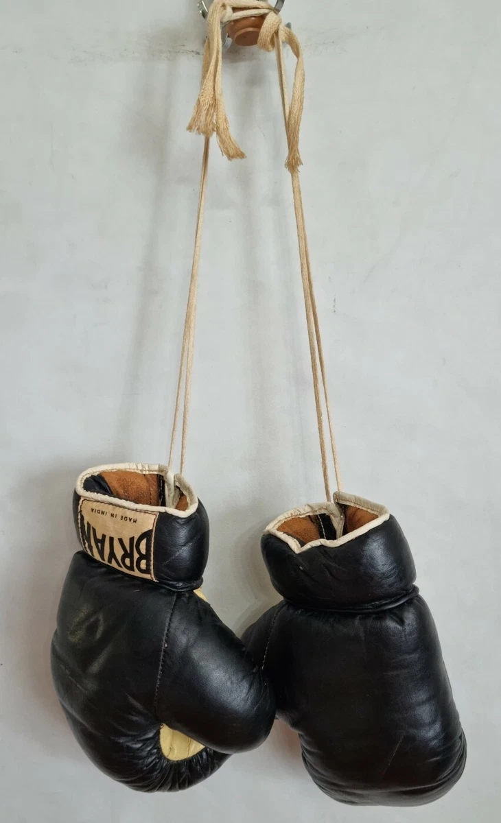 Bryan boxing store gloves