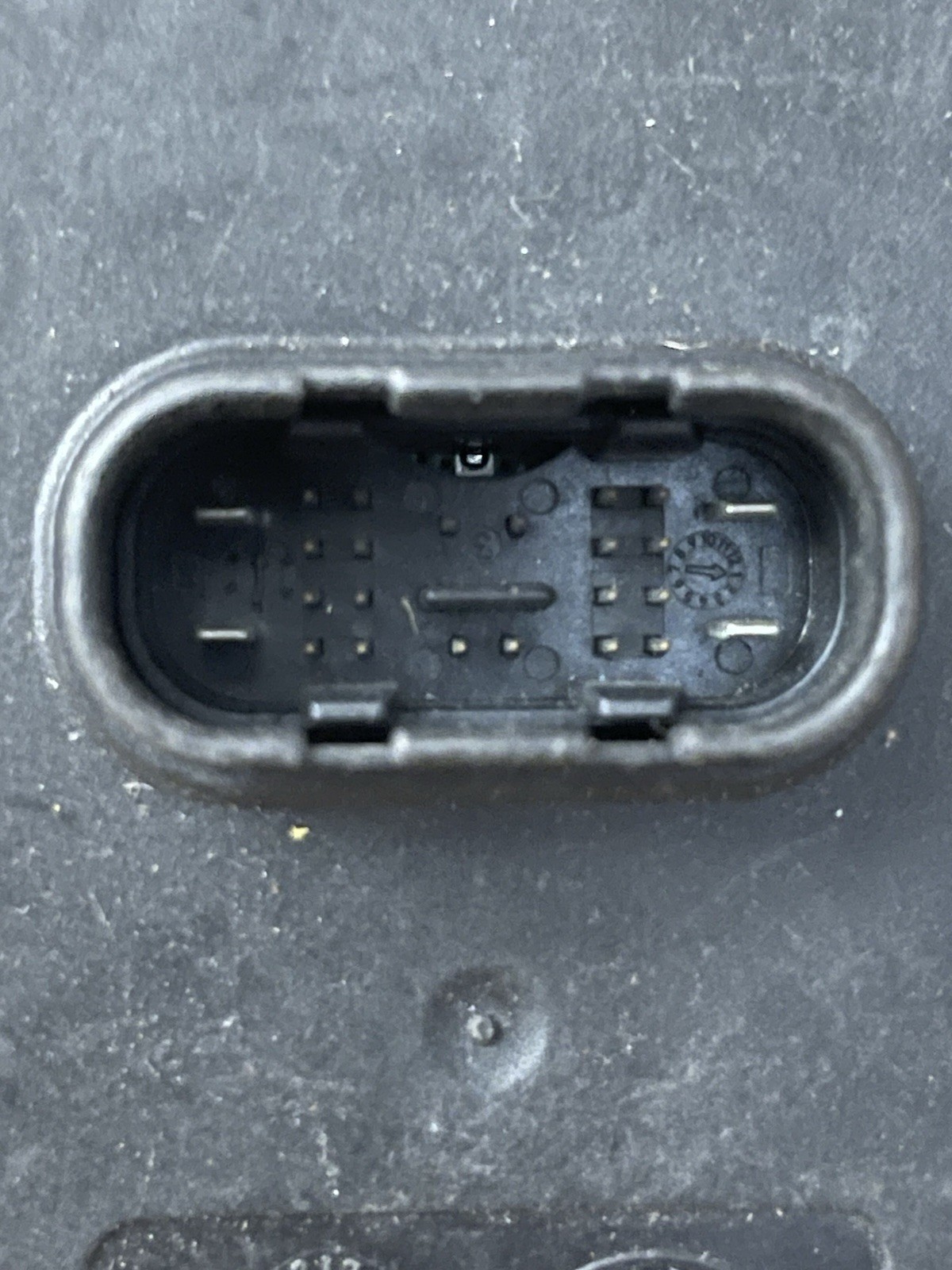 Picture 7 of 7