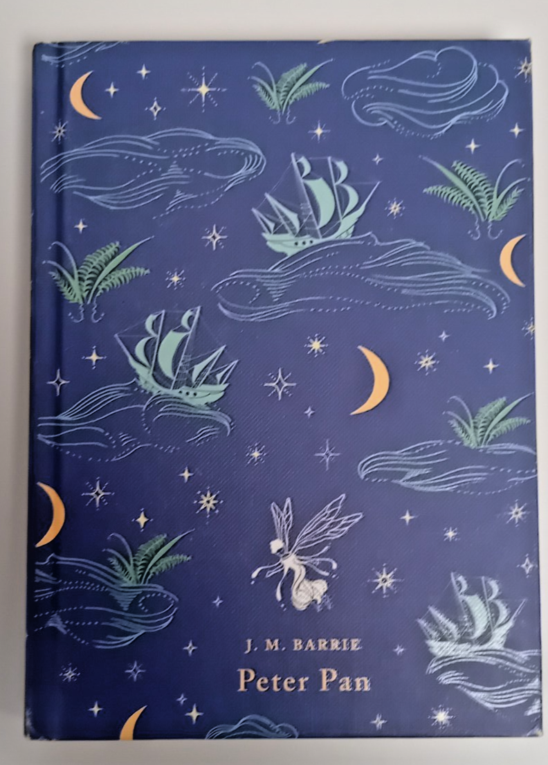 Peter Pan by J M Barrie (Hardcover, 2008)