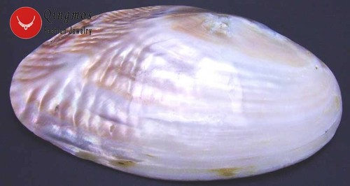 12*16 CM Natural Rosa ALMEJA Ostra Pulido Mano Perla Cáscara Suave para Joyería 225 - Imagen 7 de 10