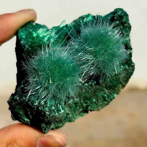 311G Indian dandelion zeolite+glossy Malachite cat's eye Mineral Specimen - 第 2/12 張圖片