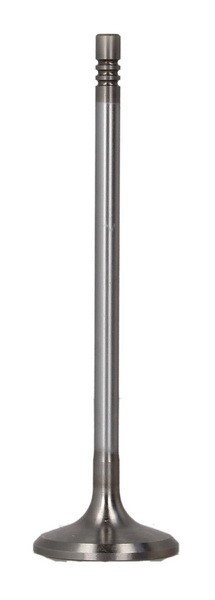Fits FRECCIA 6787/SCR Intake Valve 6787/SCR Intake valve (28,8x5x101, ⭐UK Stock⭐