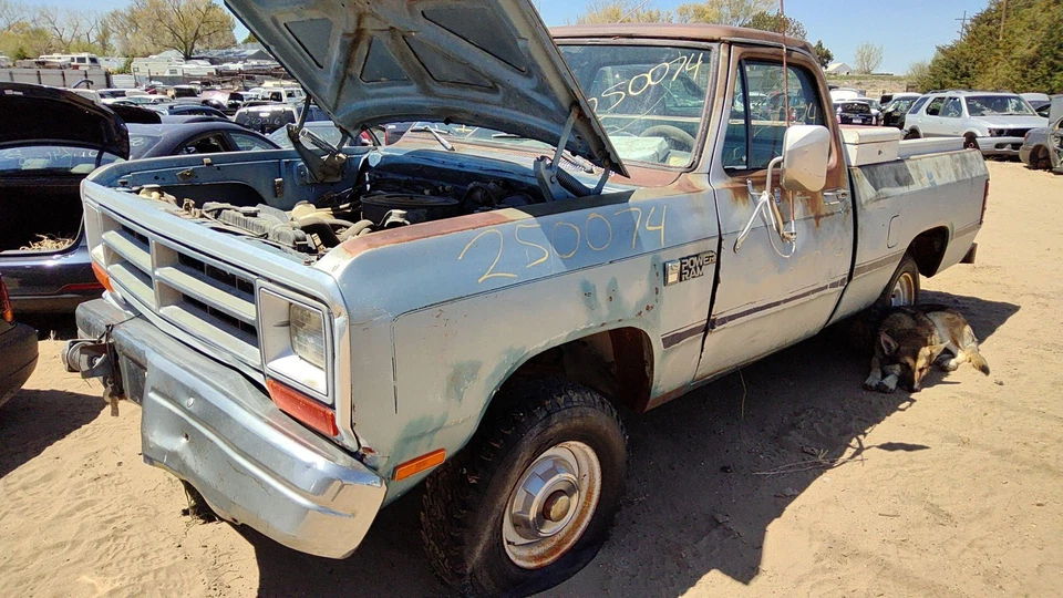 Dodge Ram W150 1986 1987 distribuidor de encendido fabricante original 5,2 L 4091142 Foto 3 de 4