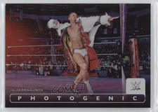 2024 Panini Photogenic WWE Silver 94/99 Ilja Dragunov #99 0sb5
