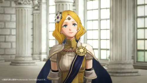Fire Emblem Warriors Nintendo Switch Japanese ver Tested - Picture 11 of 12