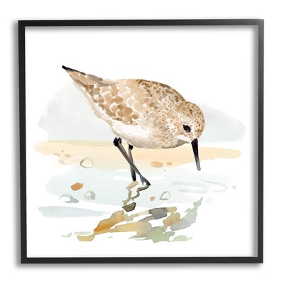 Grazing Sandpiper Shoreline Framed Giclee Art by Victoria Barnes