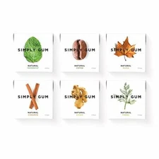Simply Gum Assorted Variety 6 Pack Natural Organic Kosher Aspartame Free Mint