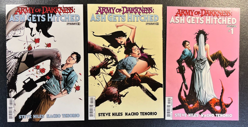 Army of Darkness Forever Ash Gets Hitched 1 2 3 SET Jae LEE Covers Ash Dynamite