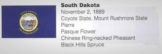 United States Mint Issue 39 South Dakota State Quarter / 1st Ed Postage Stamp - Image 3 of 4