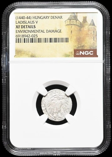 HUNGARY. Ladislaus V, 1440-1444. Silver Denar, Scarce, NGC XF Details