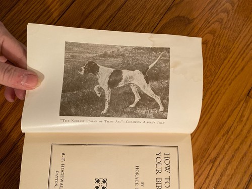“How To Train Your Bird Dog” by Horace Lytle 1956 Field & Stream HB Illustrated - Picture 5 of 15